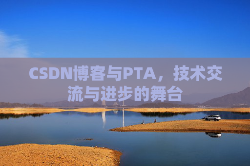 CSDN博客与PTA，技术交流与进步的舞台